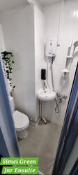 Simei Green Condominium (D18), Condominium #586805041
